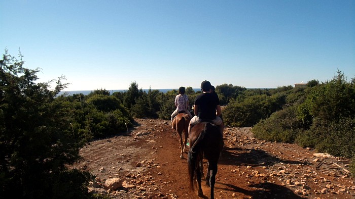 Cyprus Horse Riding